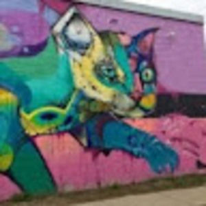 Meet your Posher, Brit